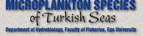 Microplankton Species of Turkish Seas